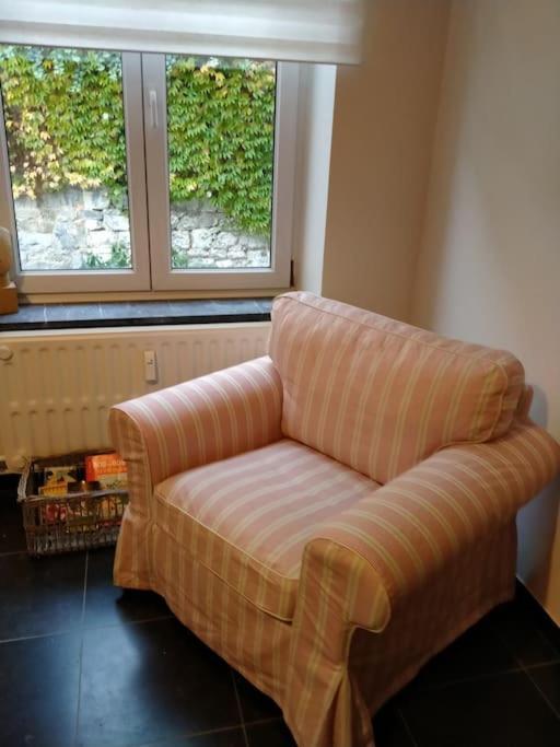 'Nulle Part Ailleurs' Apartment Dinant Exterior foto